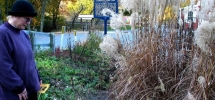Hanover_Junction_garden_2_resize
