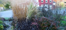 Hanover_Junction_garden_3_resize